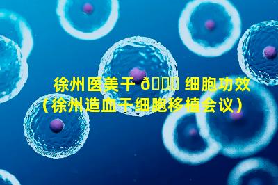 徐州医美干 🕊 细胞功效（徐州造血干细胞移植会议）